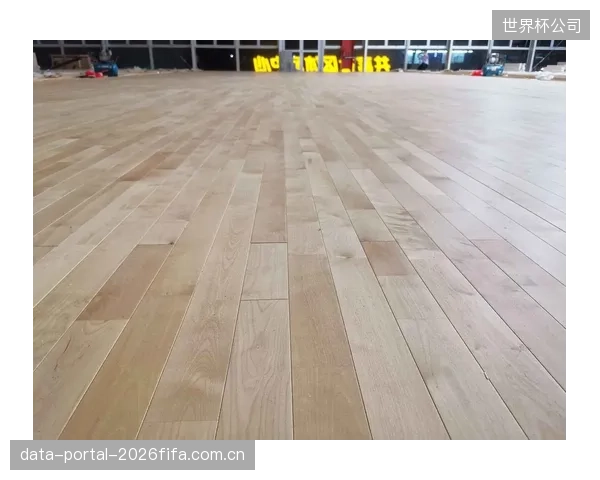 从被动维修到主动干预：定期进行精密落锤测量，可预测地板冲击吸收率衰减，优化场馆长期维护计划